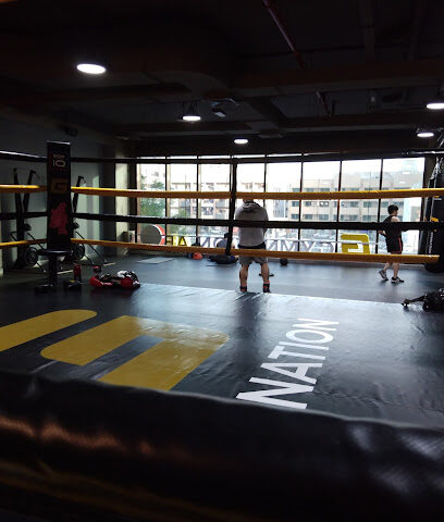 GymNation Bur Dubai | Best Gym In Bur Dubai - Dubai -