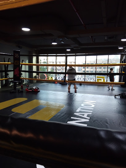 GymNation Bur Dubai | Best Gym In Bur Dubai - United Arab Emirates|Al Mankhool - Dubai|M Squared Building Next door to Spinneys