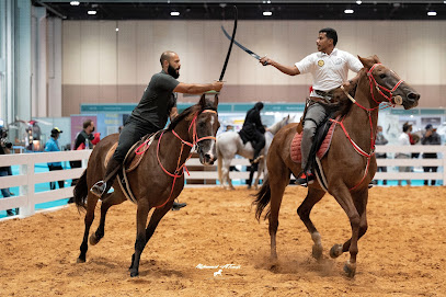 Kaber stables - Dubai - +971 55 699 6162