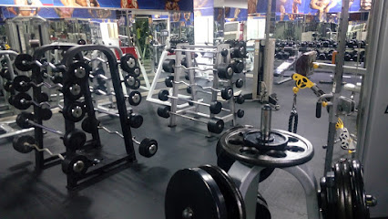 AL BAWASEL GYM LLC - Dubai - +971 4 343 3111