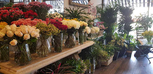 Blossoms - Ajman - +971 9 222 2924