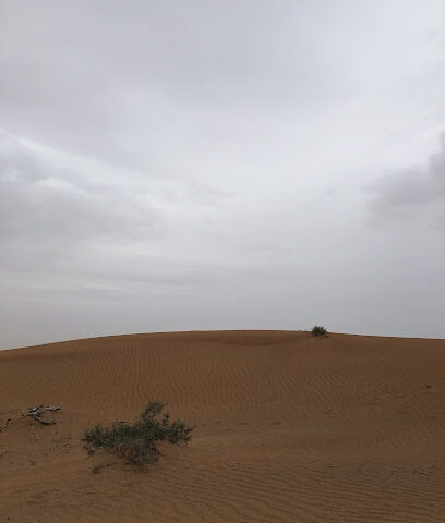 الجويعة - رأس الخيمة - Ajman -