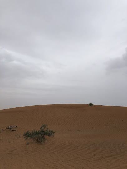 الجويعة - رأس الخيمة - United Arab Emirates|Al Ashish - Ras al Khaimah|GVX6+PP6