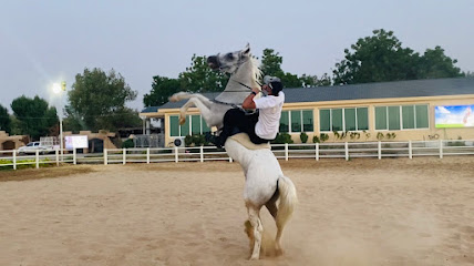 Alsuwaidi horse riding club - Dubai - +971 52 101 6833