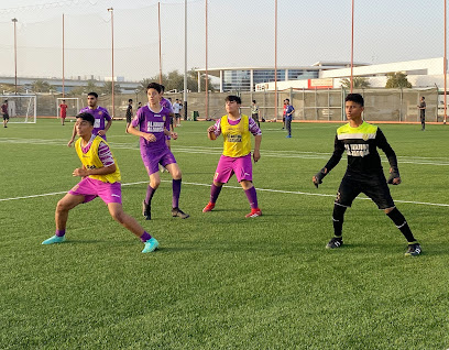 Al Najma Al zarqaa football academy head office - Ajman - +971 4 220 1509