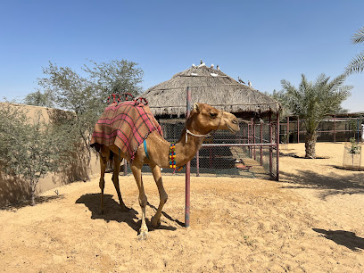 The Camel Farm - Ajman - +971 50 485 7676