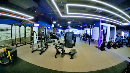 Five Star Gym - Dubai - +971 55 873 3660