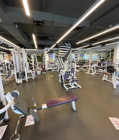 The Gym - Vision Tower - Dubai - +971 4 442 6586