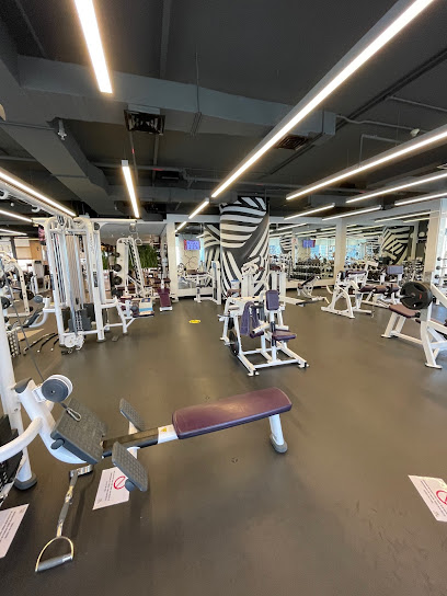 The Gym - Vision Tower - United Arab Emirates|Business Bay - Dubai|Vision Tower