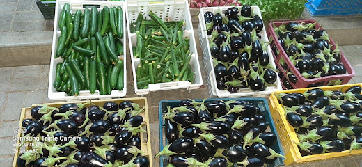AL KHAIR ORGANIC FARM - Ajman -