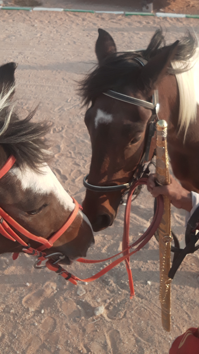 Stable - United Arab Emirates|Al Dhahrah - Abu Dhabi|2MP6+7Q