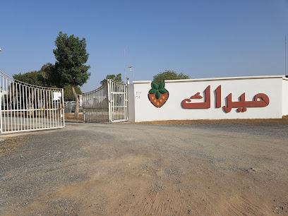 Mirak Strawberry Farm - Ajman -