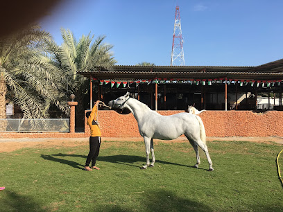 Mughaidir Farm and Stud مزرعة ومربط مغيدر - Dubai - +971 50 770 0444