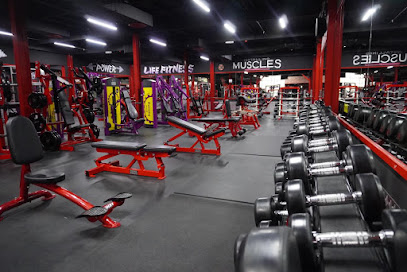 POWER BODY BUILDING - Dubai - +971 6 546 2588
