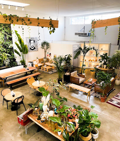Ivy's secret garden - Dubai - +971 55 889 6982