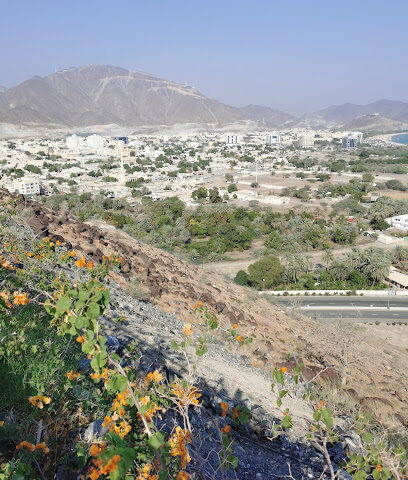 Al Shahs mountain - Dubai -