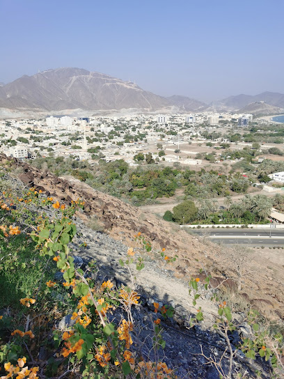 Al Shahs mountain - United Arab Emirates|Sharjah|Al Rabi Tower St|89P9+Q53