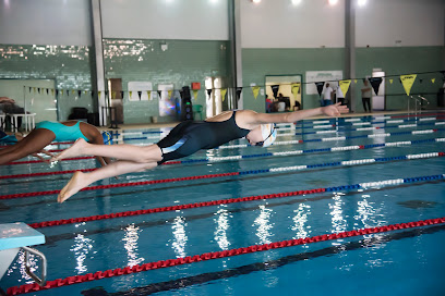 Shabab Al Ahli Club Swimming Pool - Dubai - +971 58 249 9974