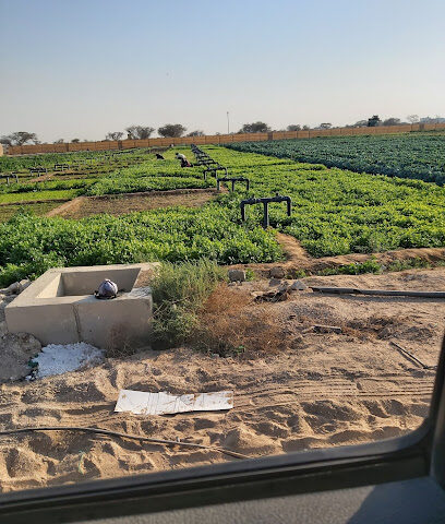 Green Path Organic Farm - Ajman - +971 50 148 5820