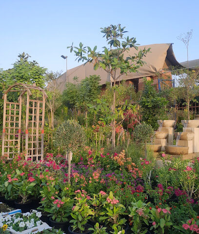 Savannah so Beautiful Landscaping LLC - Dubai - +971 4 287 3321