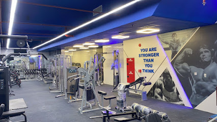 Shark GYM - Ajman - +971 58 109 5581