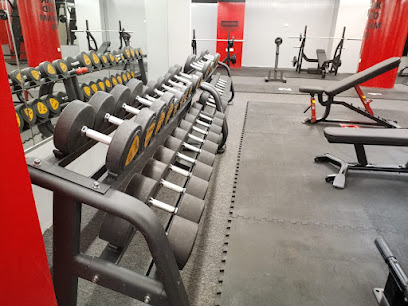 Body Move Fitness Center - Dubai - +971 56 356 3096