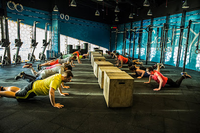 Vogue Fitness - Dubai - +971 2 583 2380