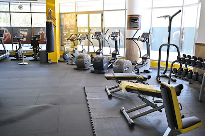 FITNESS1 BODY BUILDING-BRANCH 1 - Dubai - +971 56 100 7300