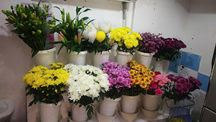 La Vender Flowers - Ajman - +971 4 396 5475