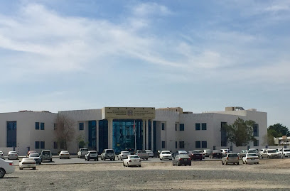 Ministry of labour, Fujairah - Dubai - +971 9 202 5261