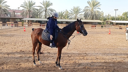 Just Ladies Horse Riding School - Dubai - +971 55 621 4990