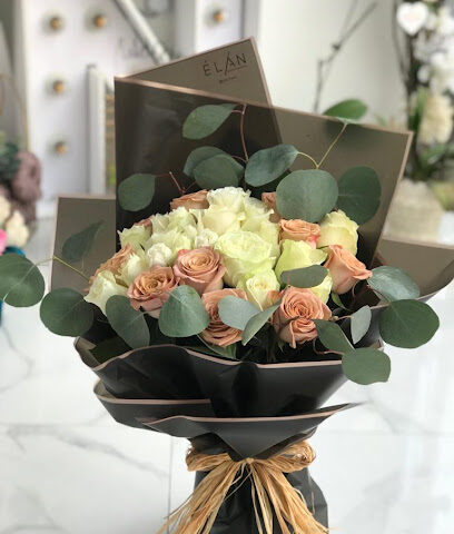 É L A N flowers - Ajman - +971 56 761 8961