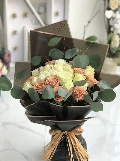 É L A N flowers - United Arab Emirates|Al Danah - Zone 1 - Abu Dhabi|7 شارع التَّجلِّي