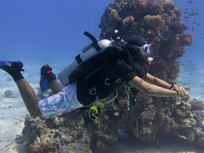 Makram diving club - Abu Dhabi - +971 55 151 2731