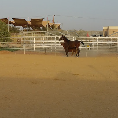 Alshahama Breeding Stable اسطبلات الشهامه للإنتاج - Dubai - +971 50 666 2297