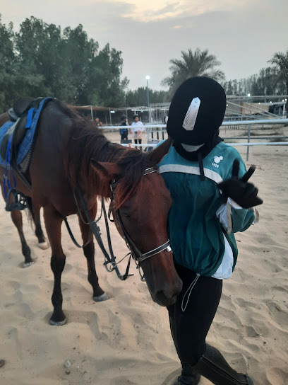 Al Saayeb Stables - United Arab Emirates|Wadi Al Amardi - Dubai|6F28+3CC