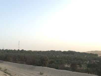 Uasg Al Tmani Farm - Ajman - +971 2 698 1111