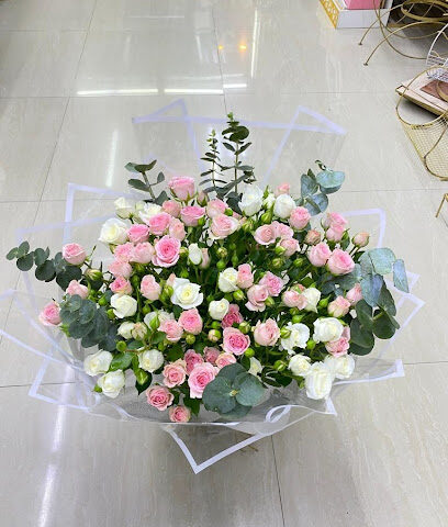 Dream Flower - Ajman - +971 56 425 5529