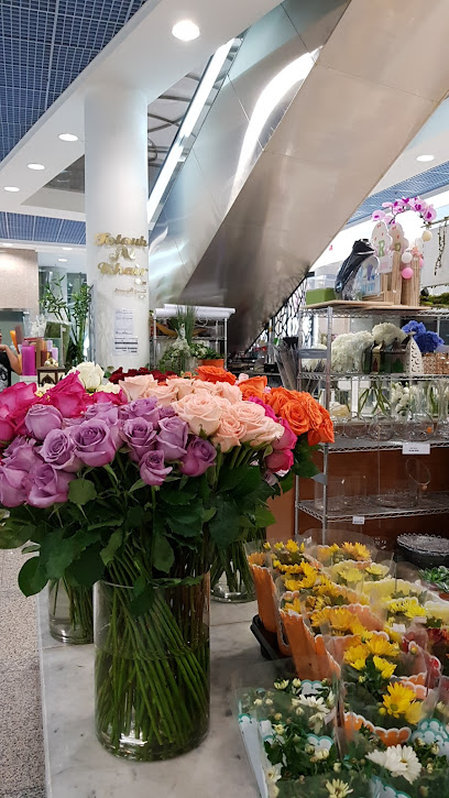 Futouh Al Khair Flowers Shop - United Arab Emirates|Al Danah - Zone 1 - Abu Dhabi|Sheikh Rashid Bin Saeed Al Maktoum Street (Old Airport Road)|F9M5+WC8
