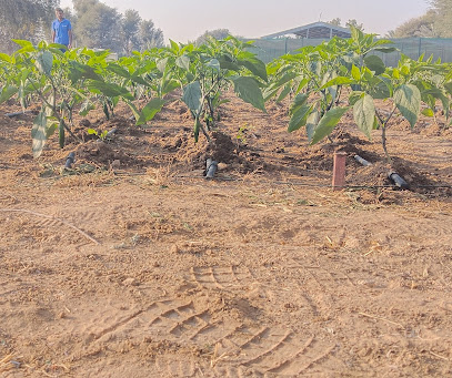 Emiland Farms - Ajman -
