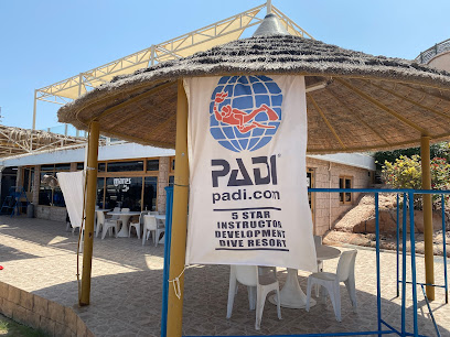 Sandy Beach Dive Centre - Abu Dhabi - +971 50 206 2440