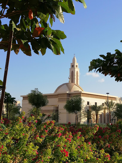 بحيرة الرويس Lake Ruwais - United Arab Emirates|Al Dhannah City - مدينة الرويس - Abu Dhabi|3JQW+HJV