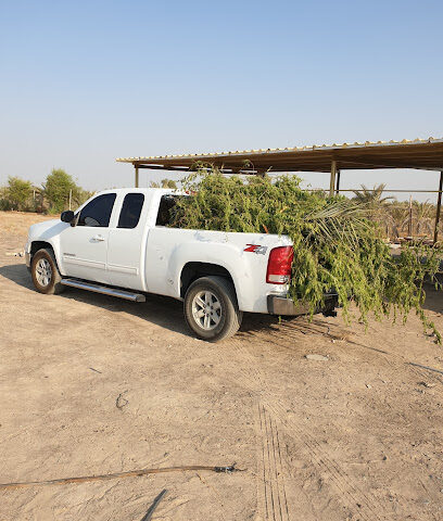 Al Nsayem Farm مزرعة النسايم - Ajman -