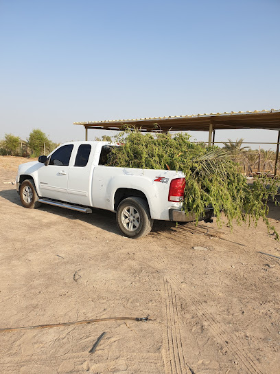 Al Nsayem Farm مزرعة النسايم - United Arab Emirates|Sharjah|E55|6WQ9+QCF