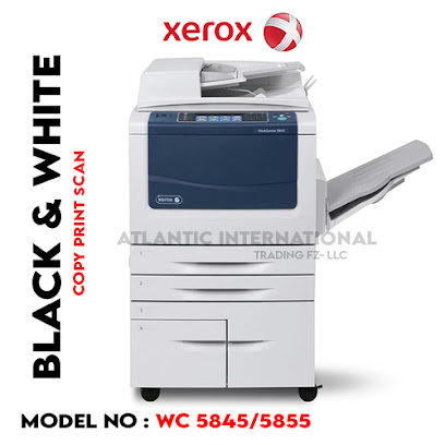 Atlantic International Trading FZ-LLC - Abu Dhabi - +971 50 267 4378
