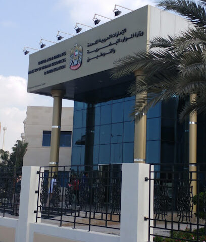وزارة الموارد البشرية والتوطين - عجمان - Dubai - +971 800 60