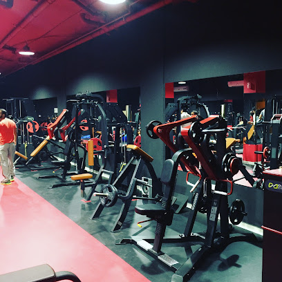 Al Fehoud Body Building Gym - Dubai - +971 55 284 4007