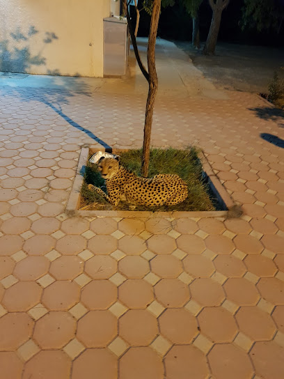 Dhaid Farmhouse - United Arab Emirates|Sharjah|Unnamed Rd|7XC3+C2J