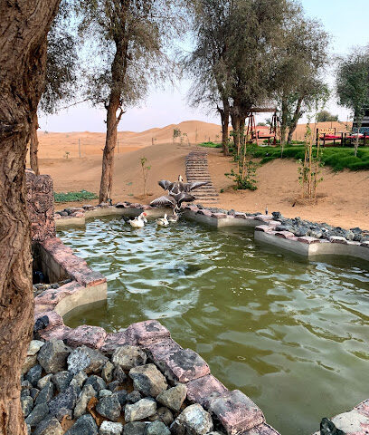 عزبة بن خميس الطنيجي - Ajman -