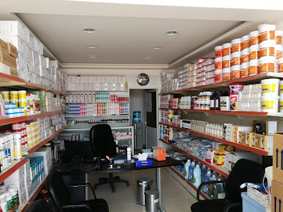 East Star Veterinary Medicine - Abu Dhabi - +971 50 533 1580